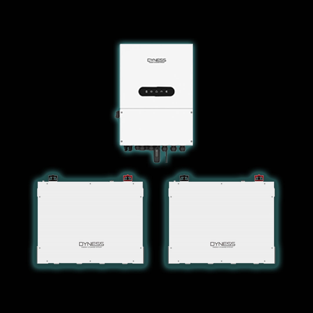 8kW Dyness Inverter & Battery Combo