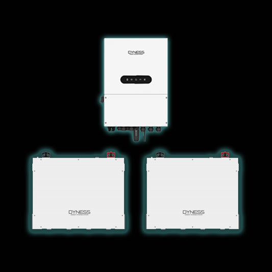 8kW Dyness Inverter & Battery Combo